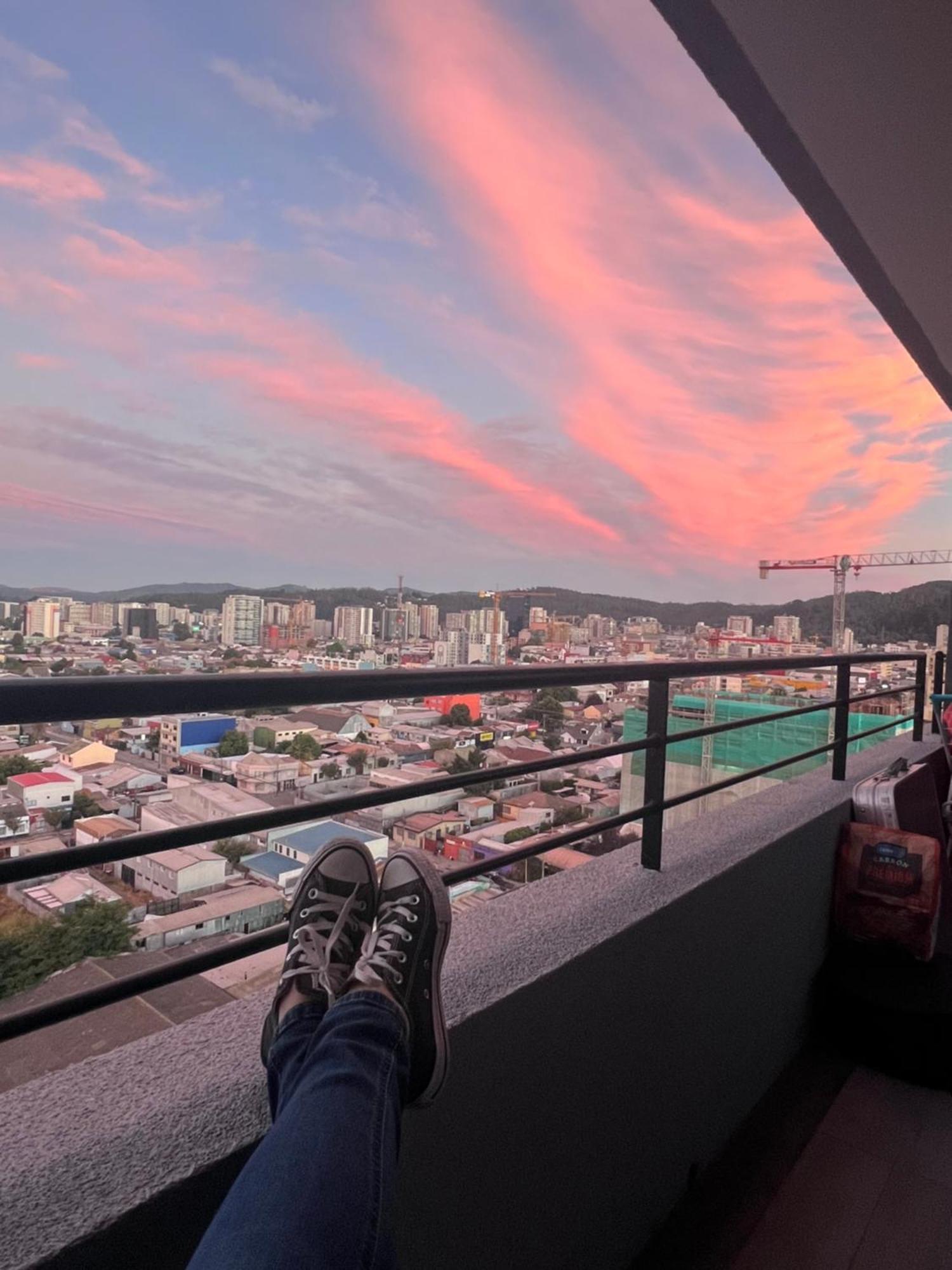 Departamento Piso 17 Apartment Concepcion